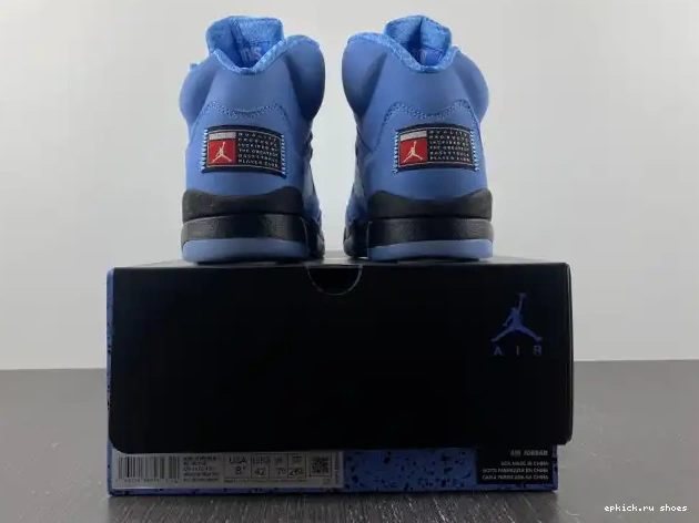 Rep 5 DV1310-401 Jordan UNC Air 0605